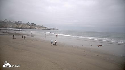 La Jolla Shores Live Surf Cam - Jun 6, 2026, 9:13am PDT