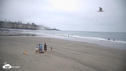 La Jolla Shores Live Surf Cam - Jul 31, 2026, 7:04am PDT