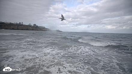 La Jolla Shores Live Surf Cam - Oct 12, 2026, 8:50am PDT
