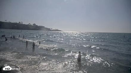 La Jolla Shores Live Surf Cam - Aug 8, 2026, 4:34pm PDT