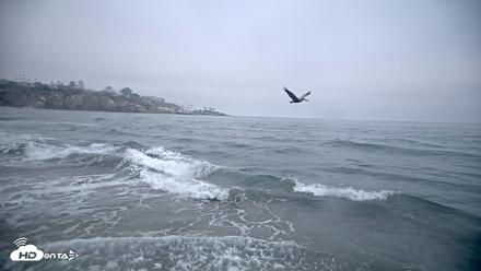 La Jolla Shores Live Surf Cam - Oct 8, 2026, 7:23am PDT