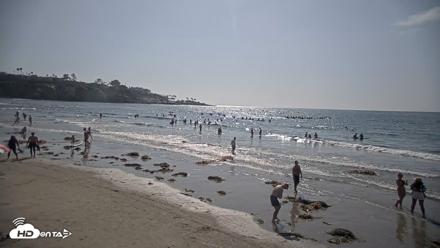 La Jolla Shores Live Surf Cam - Aug 11, 2026, 4:28pm PDT