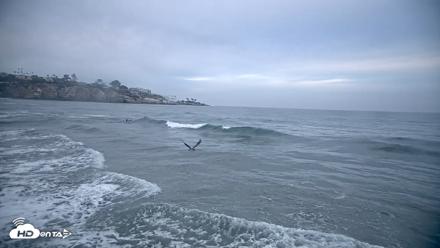 La Jolla Shores Live Surf Cam - Oct 10, 2026, 7:08am PDT