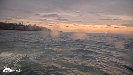 La Jolla Shores Live Surf Cam - Aug 10, 2026, 8:00pm PDT