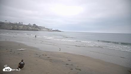 La Jolla Shores Live Surf Cam - Aug 6, 2026, 7:22am PDT