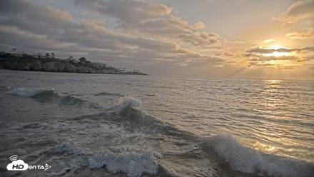 La Jolla Shores Live Surf Cam - May 14, 2026, 7:10pm PDT