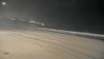 La Jolla Shores Live Surf Cam - Nov 25, 2025, 8:19pm PST