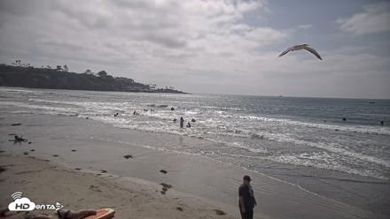 La Jolla Shores Live Surf Cam - May 10, 2026, 3:34pm PDT