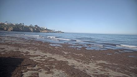 La Jolla Shores Live Surf Cam - Feb 22, 2026, 9:24am PST