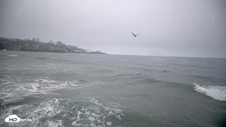 La Jolla Shores Live Surf Cam - Oct 8, 2026, 7:58am PDT