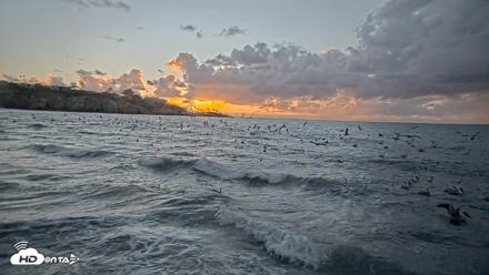 La Jolla Shores Live Surf Cam - Oct 22, 2026, 6:04pm PDT