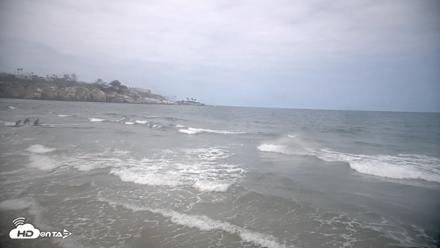 La Jolla Shores Live Surf Cam - Sep 17, 2026, 10:56am PDT