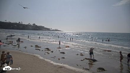 La Jolla Shores Live Surf Cam - Aug 11, 2026, 4:30pm PDT