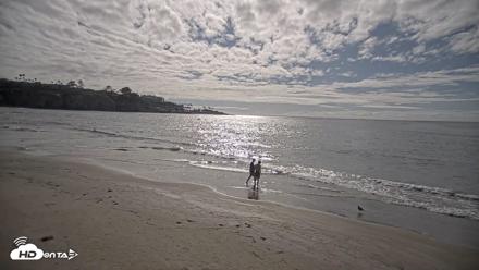 La Jolla Shores Live Surf Cam - Apr 21, 2026, 4:41pm PDT