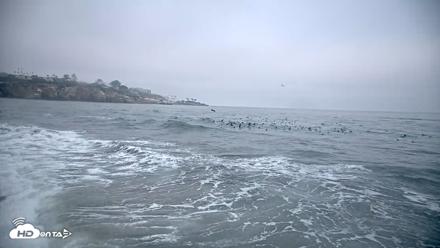 La Jolla Shores Live Surf Cam - Oct 8, 2026, 7:24am PDT