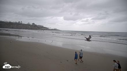 La Jolla Shores Live Surf Cam - Oct 11, 2026, 4:00pm PDT