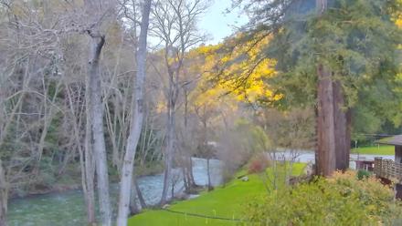 Big Sur River Inn Live Webcam - Feb 20, 2026, 5:03pm PST