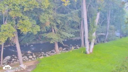 Big Sur River Inn Live Webcam - Sep 1, 2026, 7:19am PDT