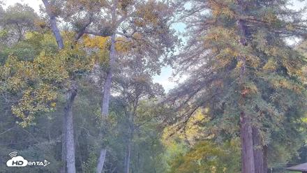 Big Sur River Inn Live Webcam - Aug 31, 2026, 5:51pm PDT
