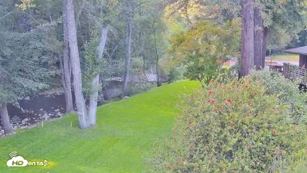 Big Sur River Inn Live Webcam - Aug 31, 2026, 5:52pm PDT