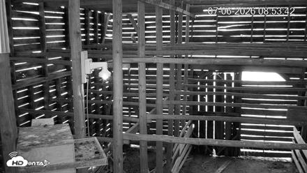 North Carolina Barn Owls Live Cam - Jul 6, 2026, 8:54am EDT