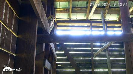 North Carolina Barn Owls Live Cam - Jul 16, 2026, 3:11pm EDT