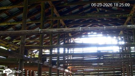 North Carolina Barn Owls Live Cam - Jun 23, 2026, 6:26pm EDT