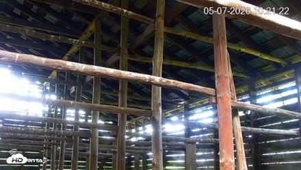 North Carolina Barn Owls Live Cam - May 7, 2026, 10:23am EDT