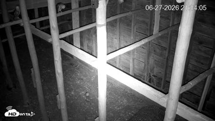 North Carolina Barn Owls Live Cam - Jun 27, 2026, 9:14pm EDT