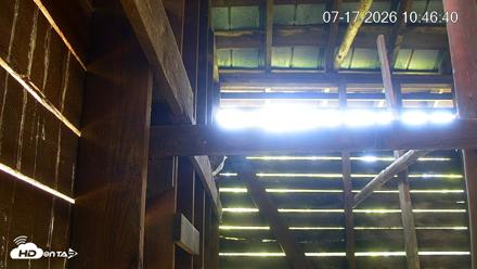 North Carolina Barn Owls Live Cam - Jul 17, 2026, 10:47am EDT