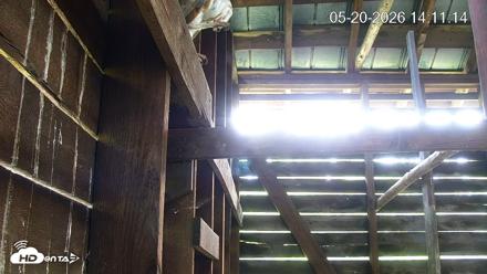 North Carolina Barn Owls Live Cam - May 20, 2026, 2:11pm EDT