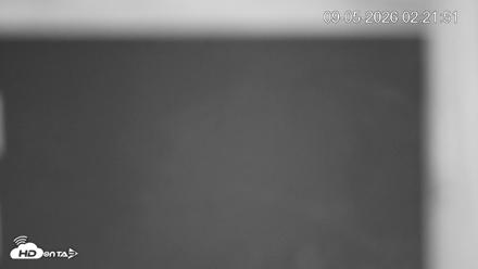 North Carolina Barn Owls Live Cam - Sep 5, 2026, 2:22am EDT