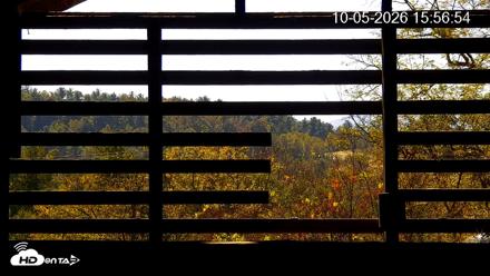 North Carolina Barn Owls Live Cam - Oct 5, 2026, 3:57pm EDT