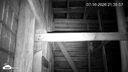 North Carolina Barn Owls Live Cam - Jul 16, 2026, 9:38pm EDT