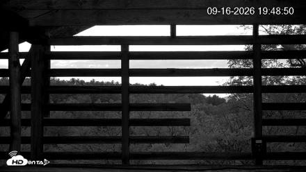 North Carolina Barn Owls Live Cam - Sep 16, 2026, 7:49pm EDT