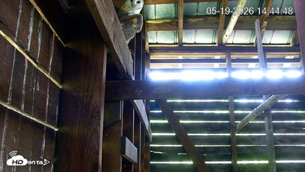 North Carolina Barn Owls Live Cam - May 19, 2026, 2:45pm EDT