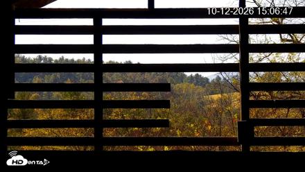 North Carolina Barn Owls Live Cam - Oct 12, 2026, 3:08pm EDT