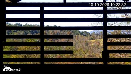 North Carolina Barn Owls Live Cam - Oct 19, 2026, 10:24am EDT