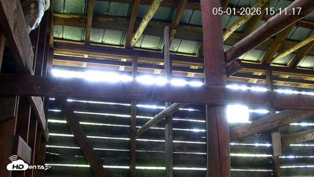 North Carolina Barn Owls Live Cam - May 1, 2026, 3:12pm EDT