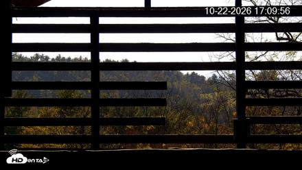 North Carolina Barn Owls Live Cam - Oct 22, 2026, 5:10pm EDT