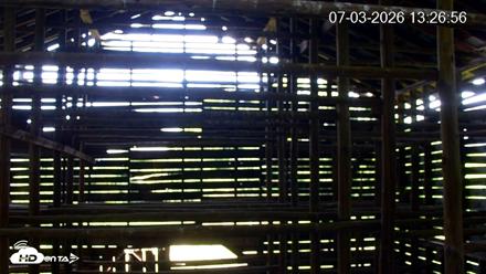 North Carolina Barn Owls Live Cam - Jul 3, 2026, 1:27pm EDT