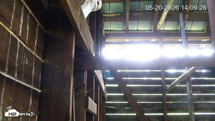 North Carolina Barn Owls Live Cam - May 20, 2026, 2:10pm EDT