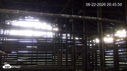 North Carolina Barn Owls Live Cam - Jun 22, 2026, 8:48pm EDT