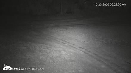 City of Loveland Ospreys Live Cam - Oct 23, 2026, 6:30am MDT