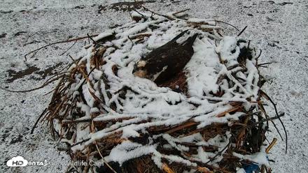 City of Loveland Ospreys Live Cam - May 5, 2026, 9:27am MDT