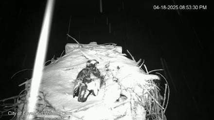 Snapshot Preview Image