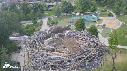 Coeur d'Alene Idaho Osprey Nest Live Cam - Jun 19, 2026, 5:34pm PDT