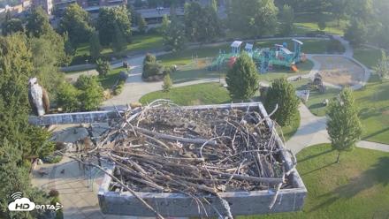 Coeur d'Alene Idaho Osprey Nest Live Cam - Jul 31, 2026, 6:53am PDT