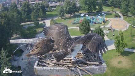 Coeur d'Alene Idaho Osprey Nest Live Cam - Jul 27, 2026, 4:33pm PDT