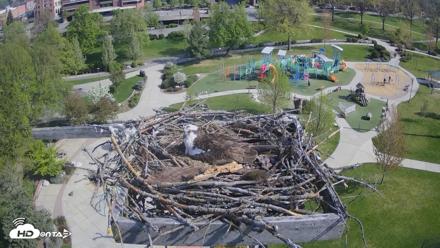 Coeur d'Alene Idaho Osprey Nest Live Cam - May 2, 2026, 9:28am PDT
